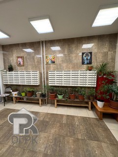 Купить студию, №389335