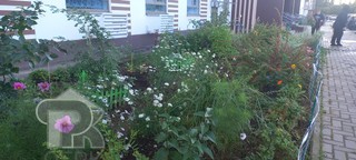 Купить 1-комнатную квартиру, №392073