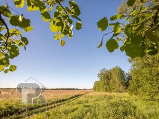 Купить землю, №391272