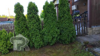 Купить таунхаус, №387640