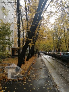 Купить студию, №386973