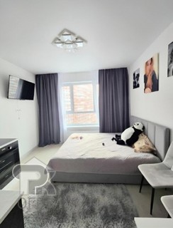 Купить студию, №388113