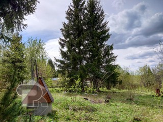 Купить землю, №384368