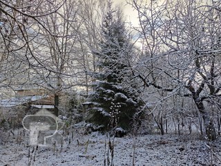 Купить дом, №387051