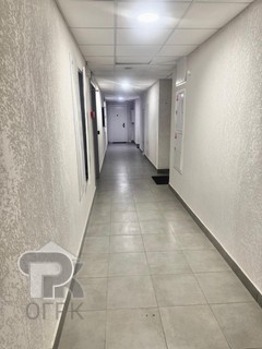Купить студию, №384976