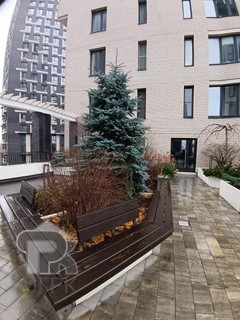 Купить 3-комнатную квартиру, №387503