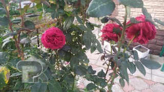 Купить дом, №386939