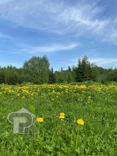 Купить землю, №390519