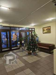 Купить студию, №387896