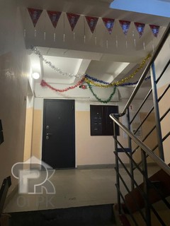 Купить студию, №387872