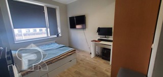 Купить студию, №388313