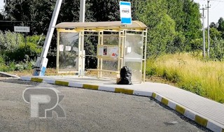 Купить землю, №382903
