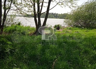 Купить студию, №386119