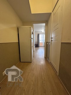 Купить студию, №390461