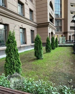 Купить 1-комнатную квартиру, №320971