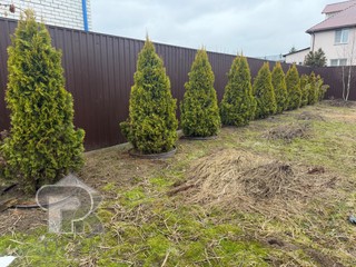 Купить дом, №389163