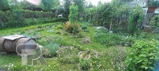 Купить землю, №390007