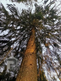 Купить землю, №389349