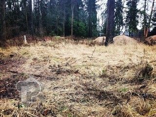 Купить землю, №381126