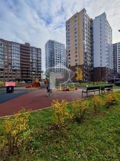 Купить студию, №387414