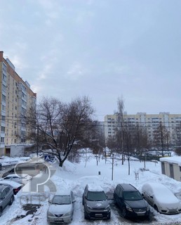 Купить 1-комнатную квартиру, №388281