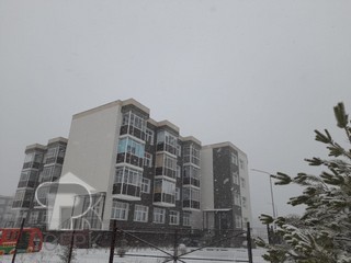 Купить 1-комнатную квартиру, №353368
