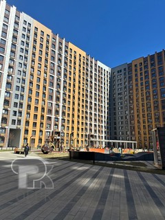 Купить студию, №384788