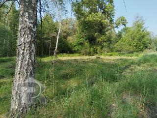 Купить землю, №385790