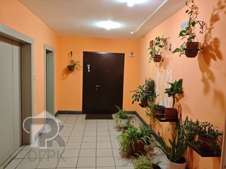 Купить 2-комнатную квартиру, №387815