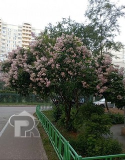 Купить 1-комнатную квартиру, №390638