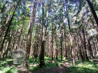 Купить 3-комнатную квартиру, №390355