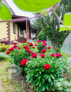 Купить коттедж, №387245