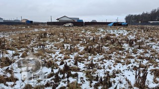 Купить землю, №387871