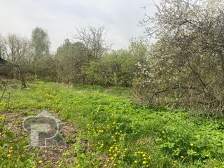 Купить землю, №385665