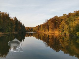 Купить 1-комнатную квартиру, №386417