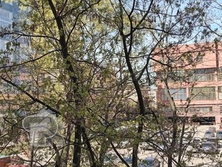 Купить 2-комнатную квартиру, №388339