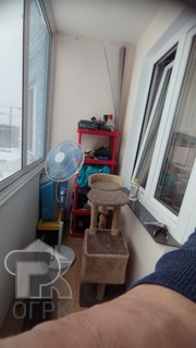 Купить 1-комнатную квартиру, №387956