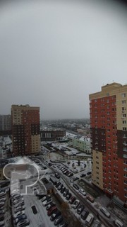 Купить студию, №387583