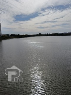 Купить 1-комнатную квартиру, №387778