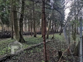 Купить землю, №389349