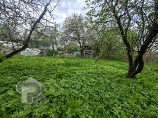 Купить землю, №385637
