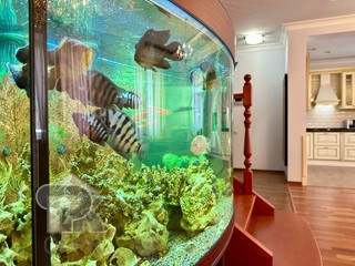 Купить 4-комнатную квартиру, №387992