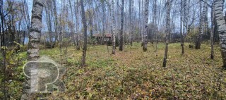 Купить землю, №387236