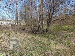 Купить землю, №386199