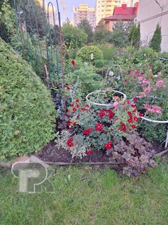 Купить 2-комнатную квартиру, №387532