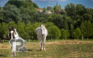 Купить землю, №384326