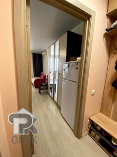 Купить студию, №388064