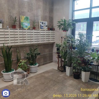 Купить 1-комнатную квартиру, №390403