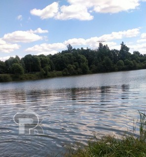 Купить дом, №387638