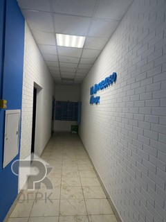 Купить студию, №388105